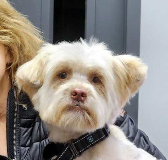 Photo of Barkley