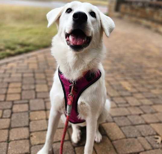 Photo of 24-084 Wilma