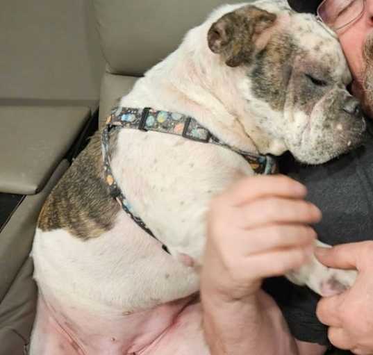 Photo of Dotty