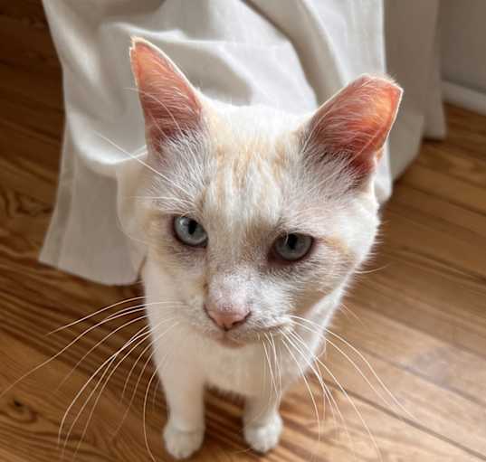 Photo of Cuddly Theodore