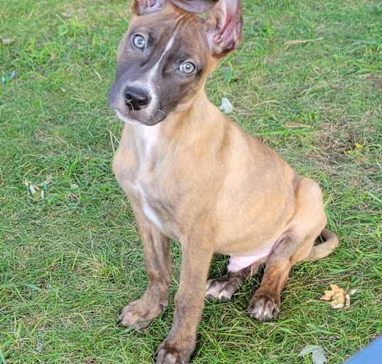Photo of Bentley
