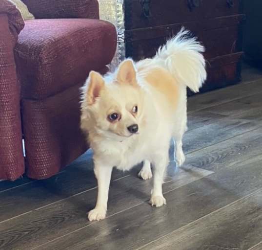 Photo of Sugar