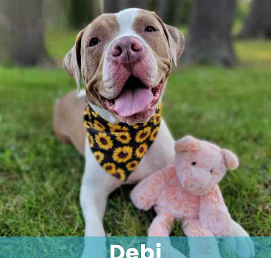 Photo of Debi