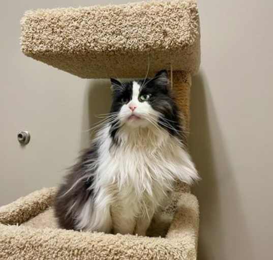 Photo of Athena