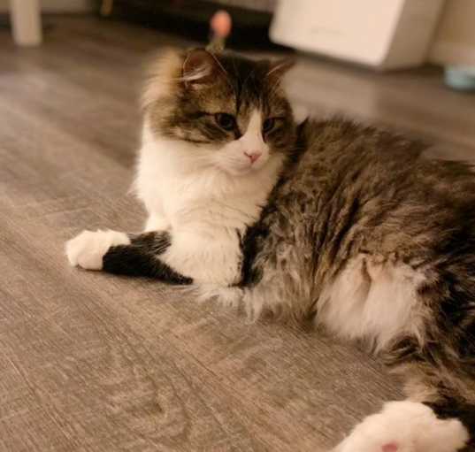 Photo of Gandalf