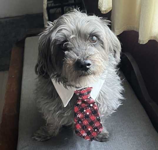Photo of Wally