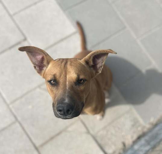 Photo of Cindy