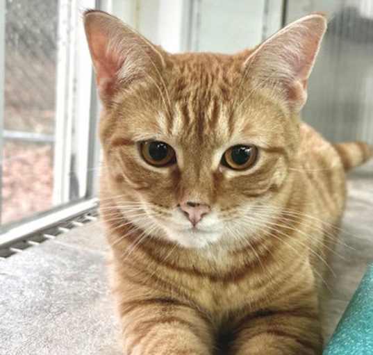 Photo of Chiquita