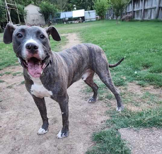 Photo of Tyson