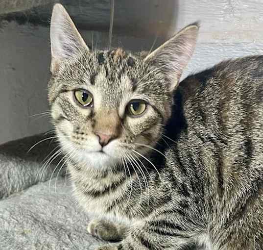 Photo of Ripley