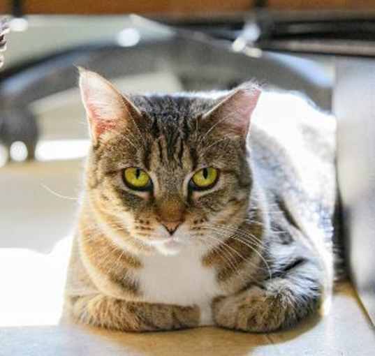 Photo of Jenny 042021