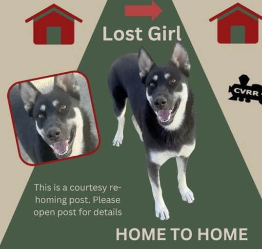 Photo of *Lost Girl (Home to Home)