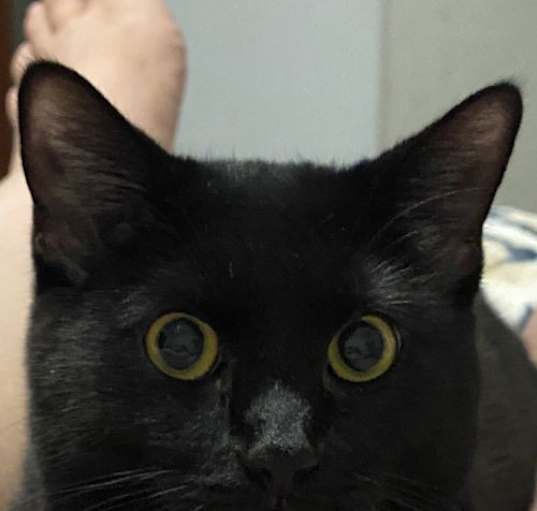 Photo of Ghost