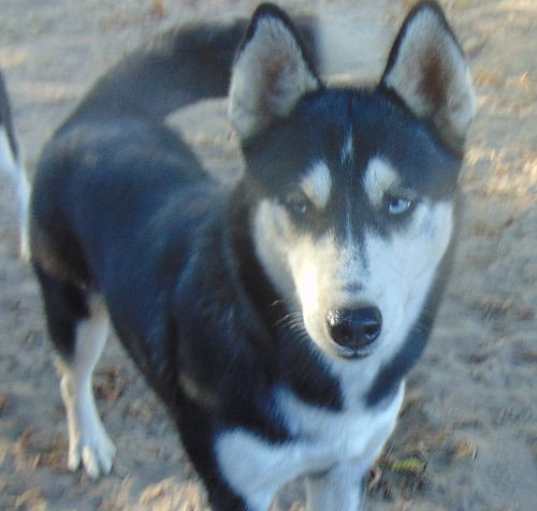 Photo of Myra
