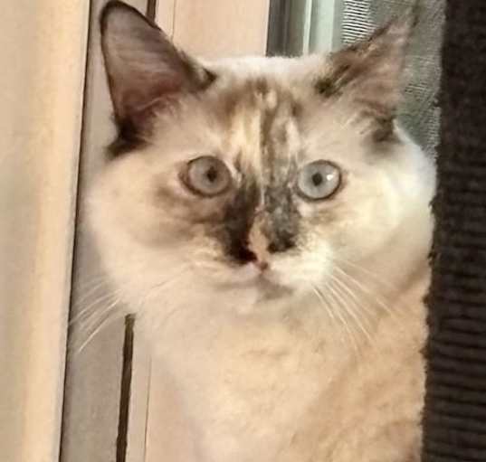 Photo of Bunny