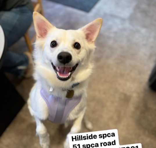 Photo of Hilary Fluff