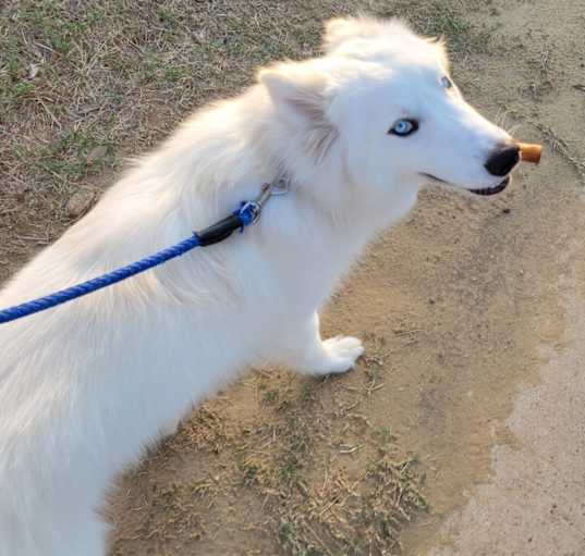 Photo of Blue Sky