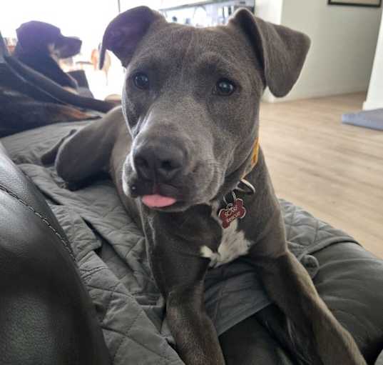 Photo of Graycee