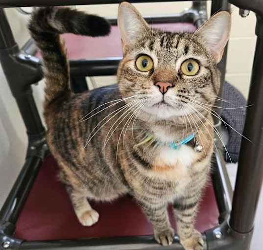 Photo of Cora