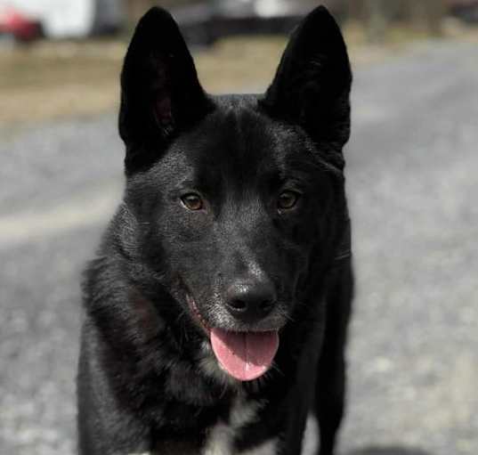 Photo of MILTON