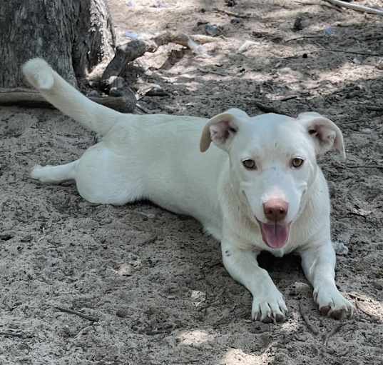Photo of Misty