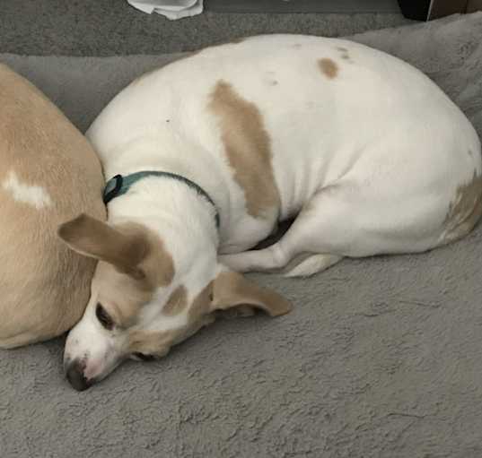 Photo of Hope & Faith