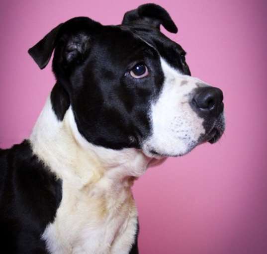 Photo of Zoey