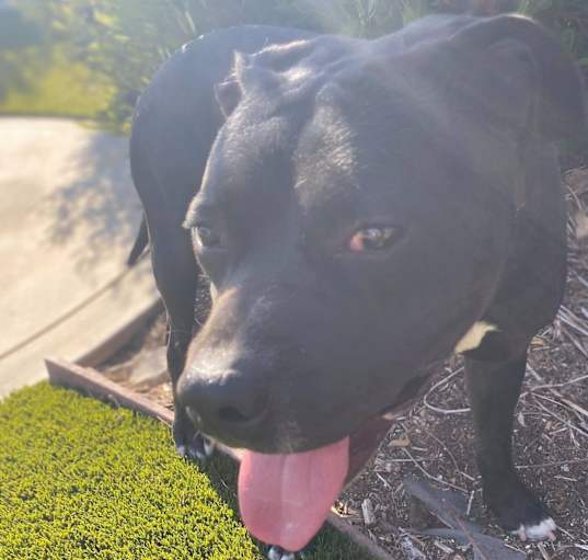 Photo of JAZZ