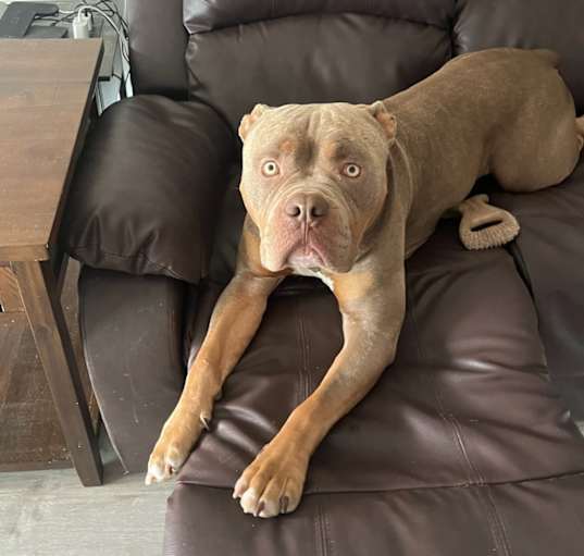 Photo of Fezco