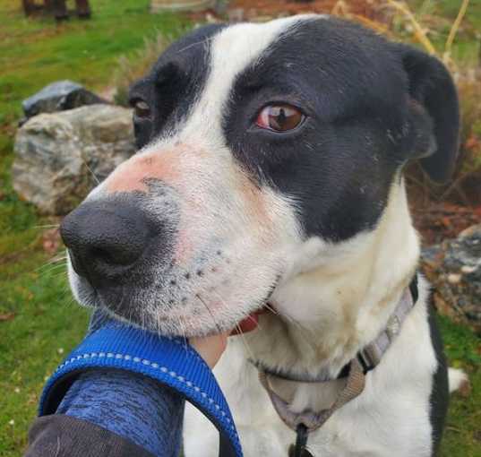 Photo of Mabel