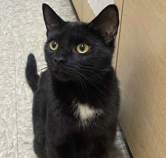 Photo of Ella (FKA: Bohm)