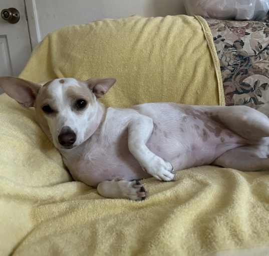 Photo of Izzy