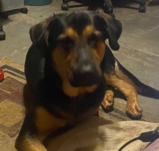 Photo of Rosko
