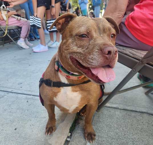 Photo of Sally - 23226