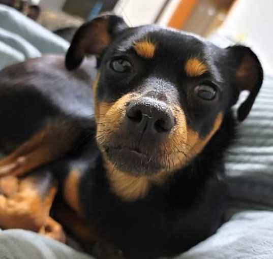 Photo of Lylla (I)