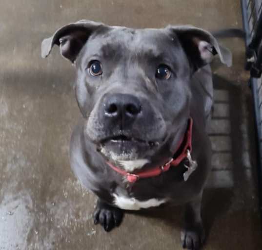 Photo of Lyla