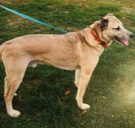 Photo of Thor
