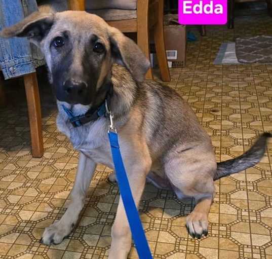 Photo of Edda