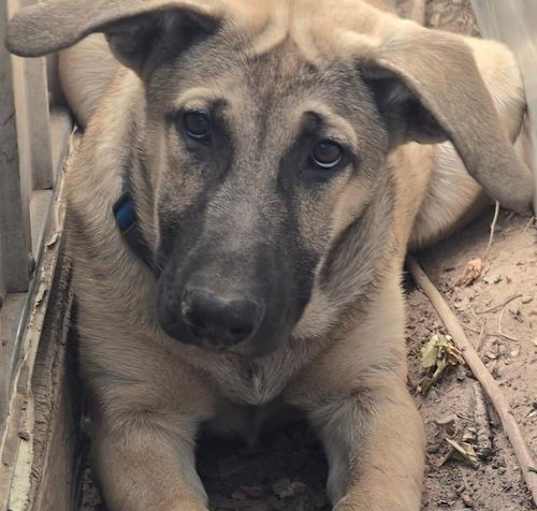 Photo of Zora