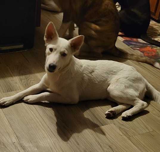 Photo of Chloe aka Cleo