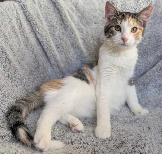 Photo of Princess Consuela
