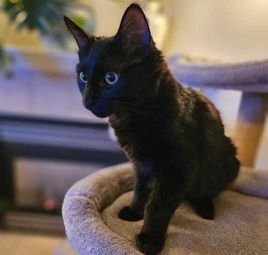 Photo of LW1 - Ralphie