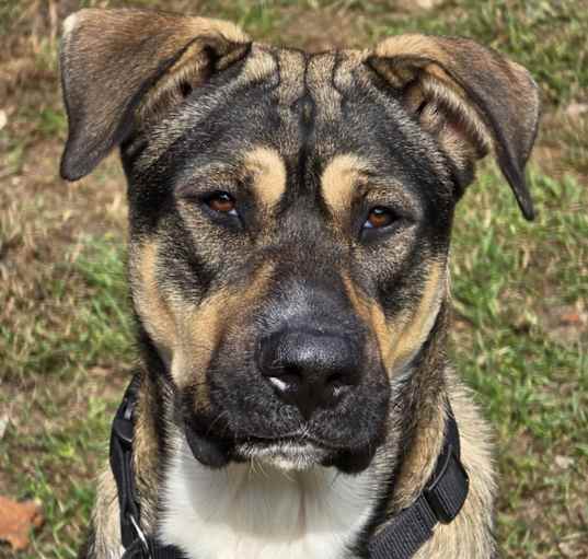 Photo of Tuck