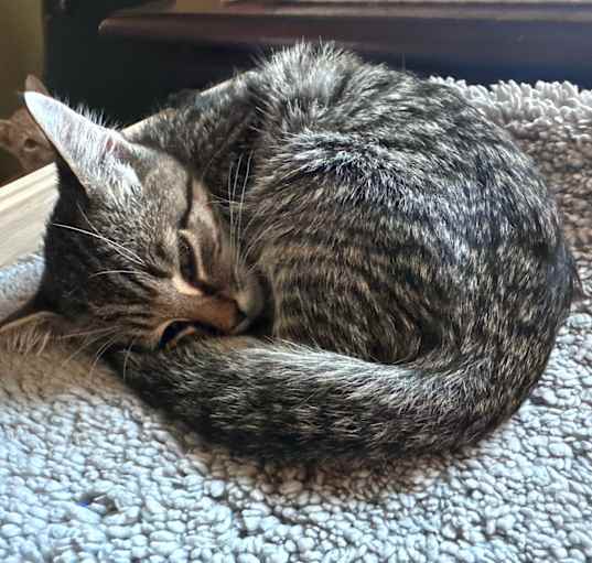 Photo of Meany