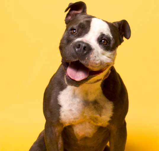 Photo of Cora