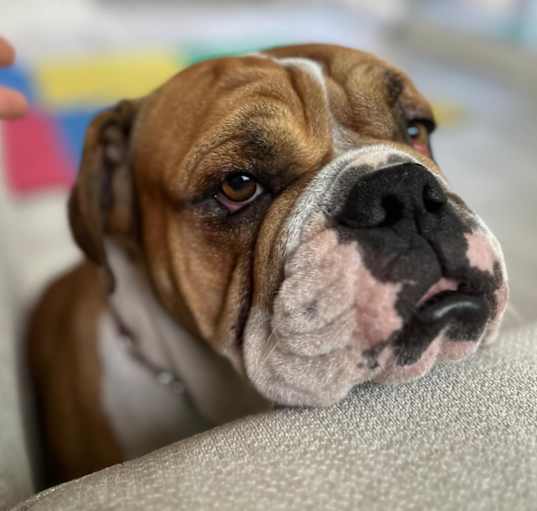 Photo of Winston