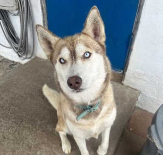 Photo of Luna
