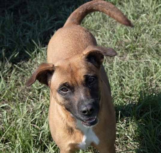 Photo of Darla