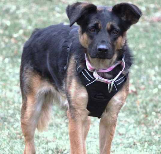 Photo of Stella Jane