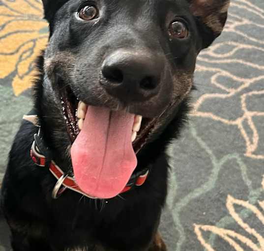 Photo of Chase